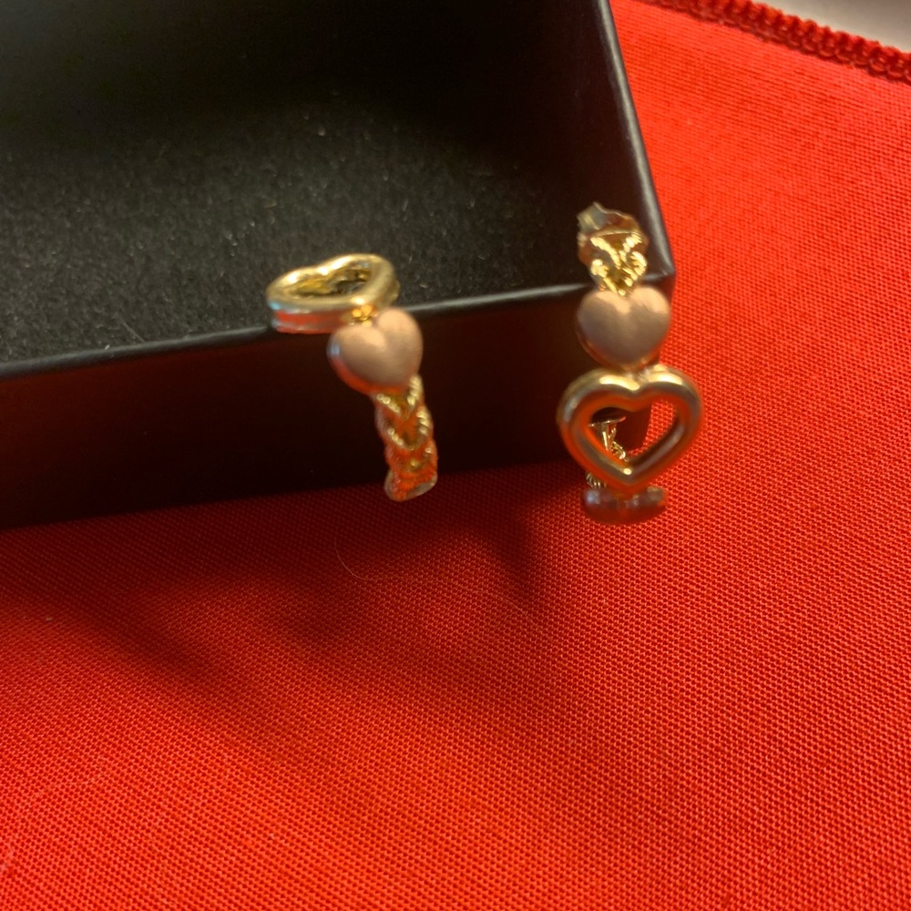 Pierced earrings